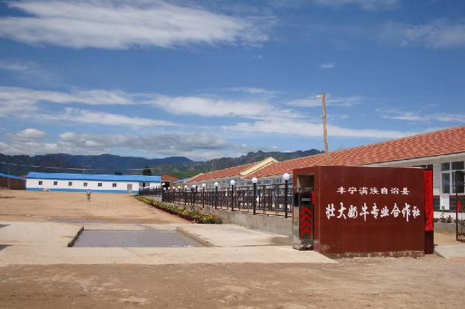 河北承德丰宁县100亩规模化养牛场出租出售