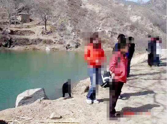 石家庄几千亩优质种植养殖地低价急租