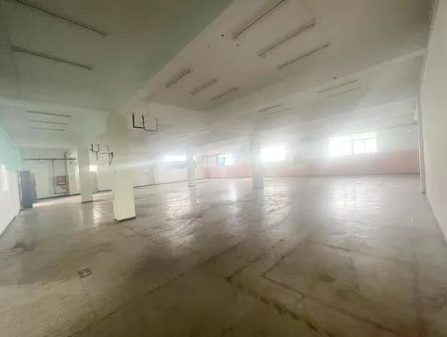 天津市津南大院厂库房出租