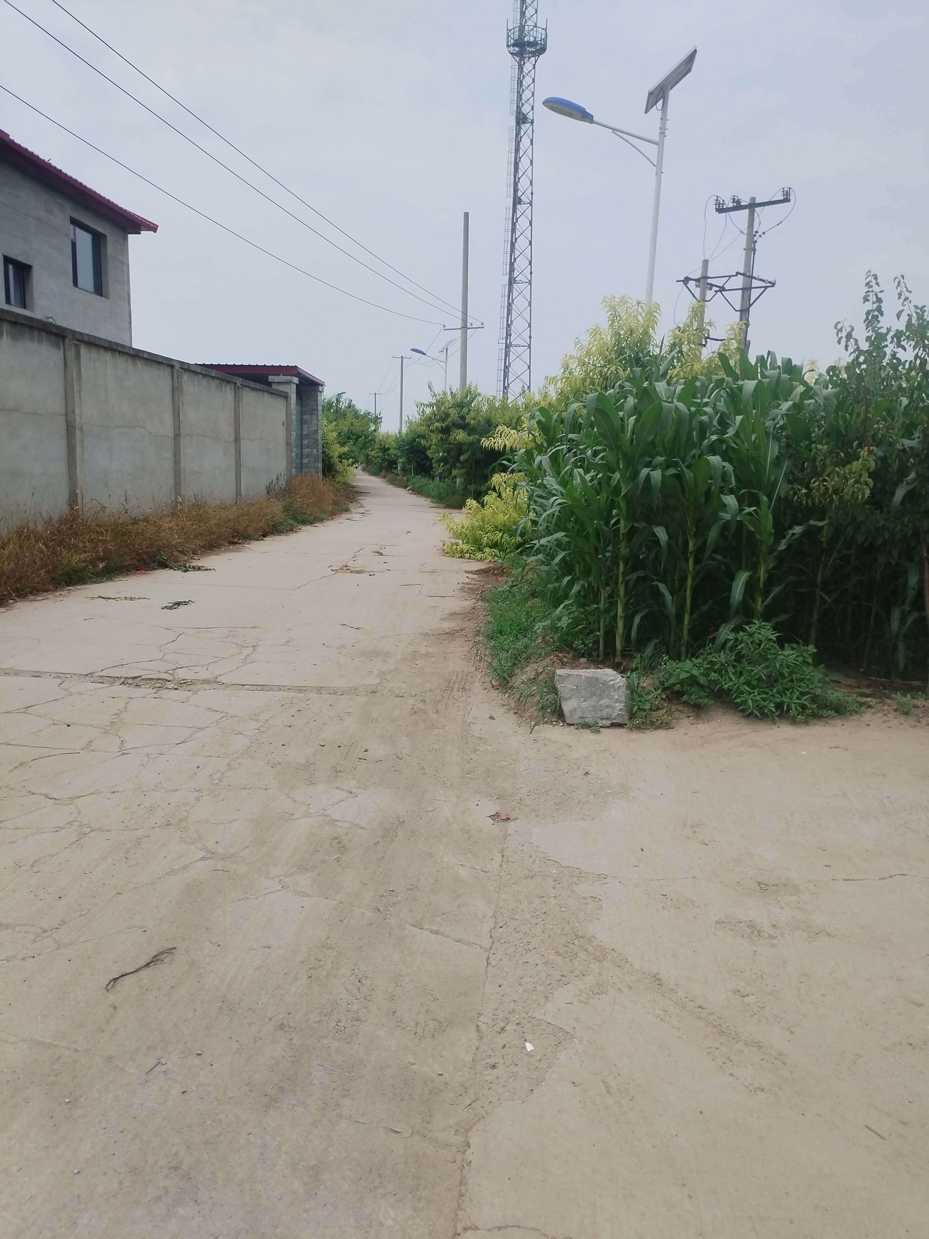 保定市北三环3亩大院出租出售