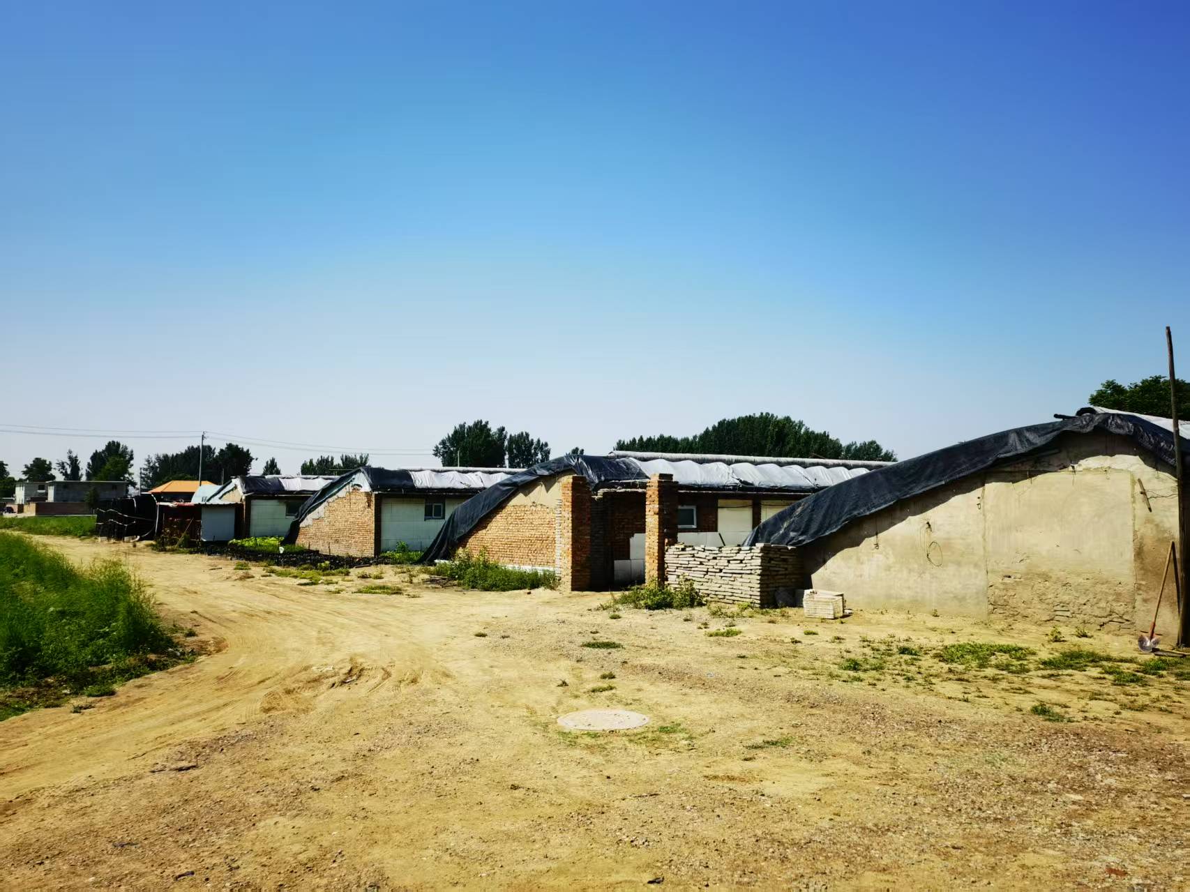 房山区窦店107国道旁独院厂库房、办公住宿房、大棚、场地出租 房山区窦店107国道旁独院厂库房、办公住宿房、大棚、场地出租