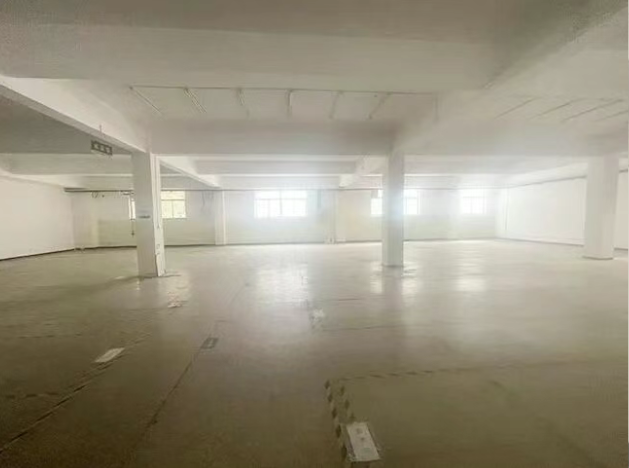 天津市津南大院厂库房出租