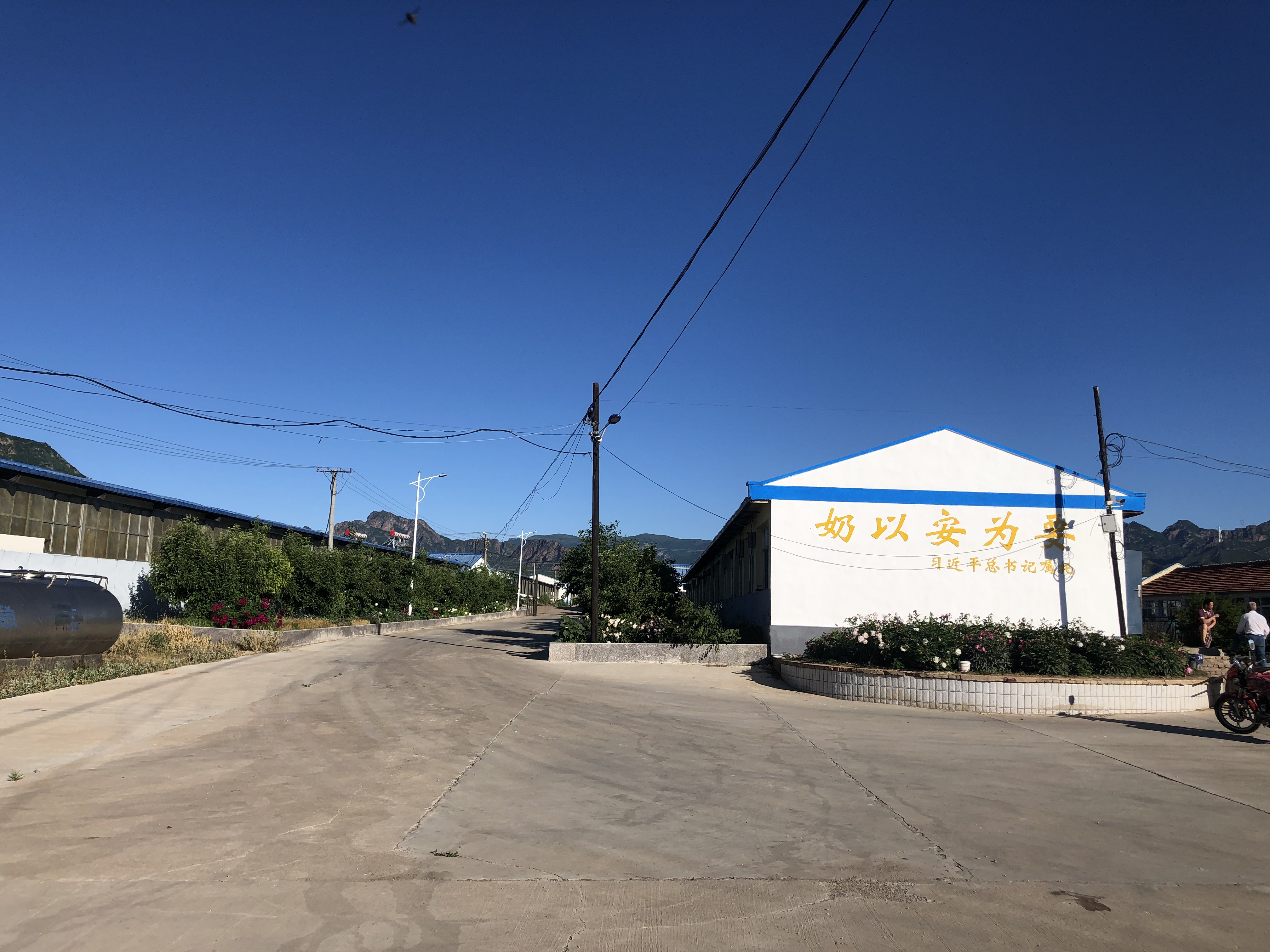 河北承德丰宁县100亩规模化养牛场出租出售