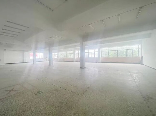 天津市津南大院厂库房出租 天津市津南大院厂库房出租