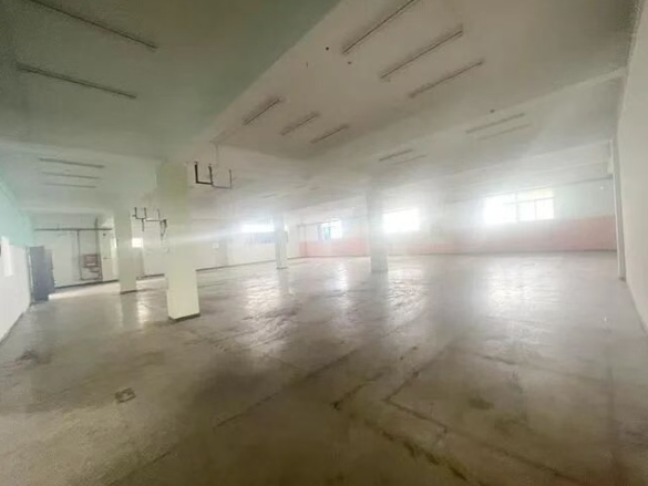 天津市津南大院厂库房出租 天津市津南大院厂库房出租